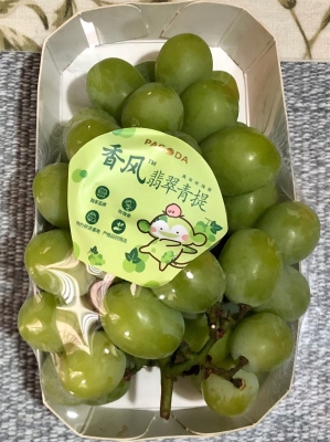 赤峰青提蛋糕店地址電話號(hào)碼-第1張圖片