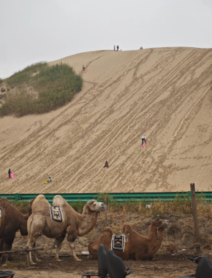 赤峰烏丹雙利煙花廠電話號(hào)碼-第1張圖片