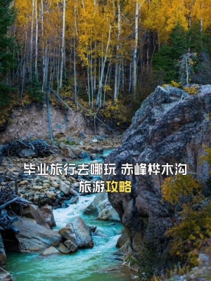 赤峰到沈陽的旅行團電話號碼-第1張圖片