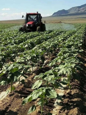 赤峰葉片廠-第1張圖片