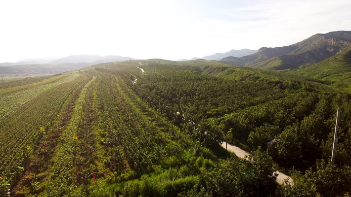 赤峰寧城三哥大梨店電話號(hào)碼-第1張圖片