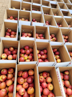 赤峰蘋果維修中心電話是多少號-第1張圖片