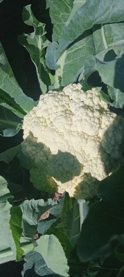 赤峰東仙超市電話號(hào)碼多少-第1張圖片