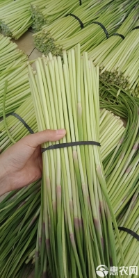 赤峰市蒜苔批發(fā)電話號(hào)碼-第1張圖片