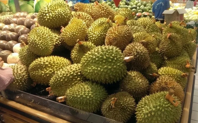 赤峰榴蓮代理電話多少錢啊-第1張圖片