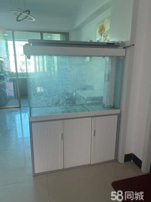 赤峰過(guò)濾器魚(yú)缸廠家電話號(hào)碼-第1張圖片