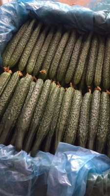 赤峰綠真商貿(mào)招募電話是多少號-第1張圖片