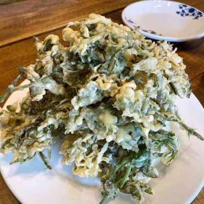 赤峰小舍烤魚電話號碼多少號-第1張圖片