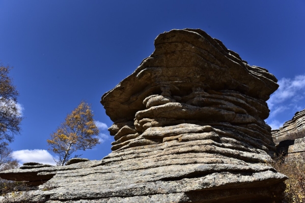 赤峰石立川診所聯(lián)系電話號碼-第1張圖片