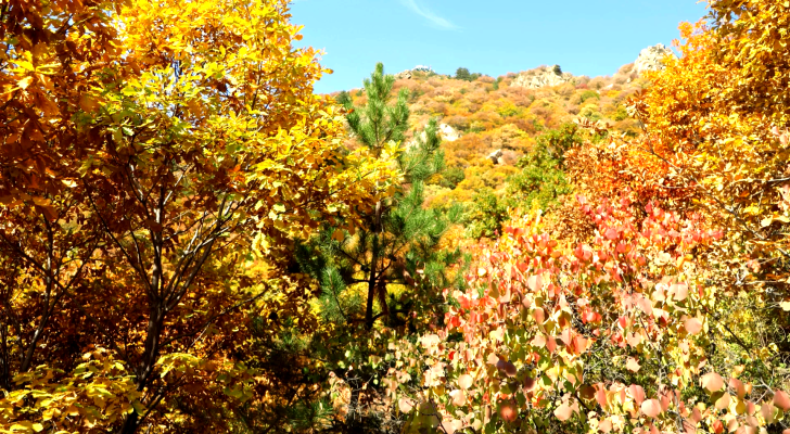 赤峰林西純凈水電話號(hào)碼-第1張圖片