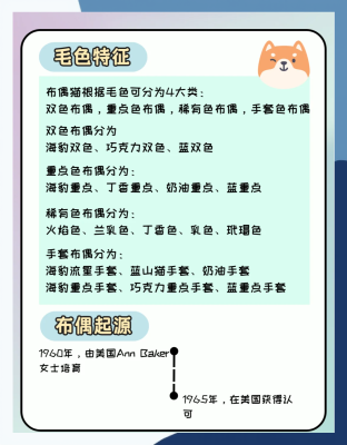 赤峰市布偶貓出售電話地址查詢-第1張圖片