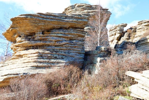赤峰阿旗古玩店電話地址查詢-第1張圖片