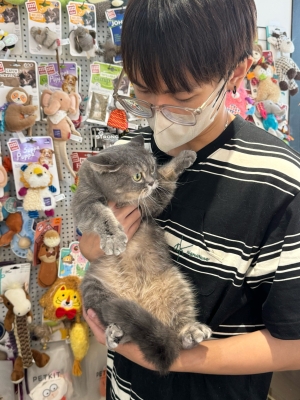 赤峰哪有另類寵物店啊電話號碼-第1張圖片