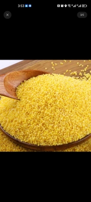 赤峰鹿產(chǎn)品批發(fā)商家電話號碼-第1張圖片