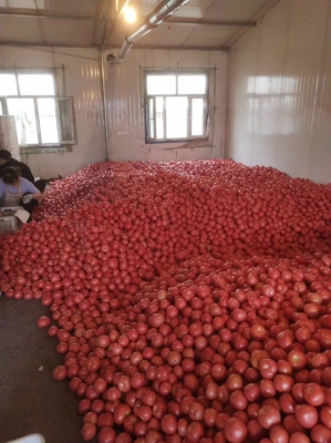 赤峰寧城邊牧出售電話是多少號(hào)-第1張圖片