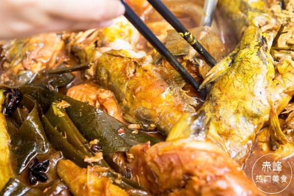 赤峰買小笨雞的地方電話號碼-第1張圖片