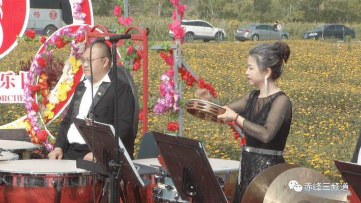 赤峰寧城網(wǎng)球場電話號碼多少-第1張圖片