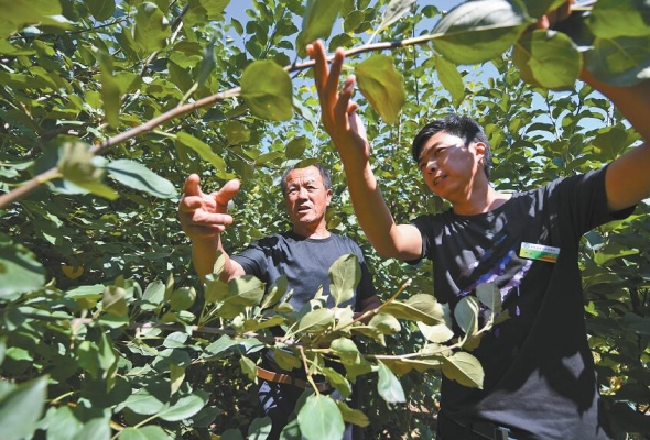 赤峰關(guān)家營監(jiān)控電話號碼查詢-第1張圖片