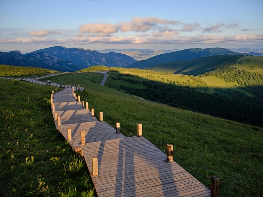 赤峰木語(yǔ)古箏專賣店電話號(hào)碼-第1張圖片