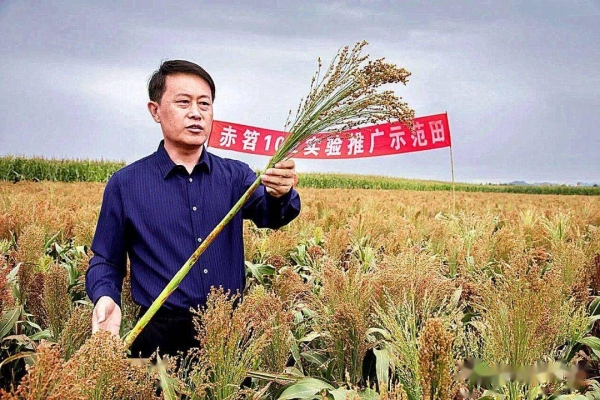 赤峰小掃把廠家電話號碼查詢-第1張圖片