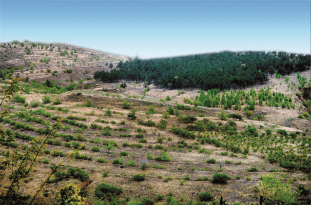 赤峰下洼子店電話號碼查詢-第1張圖片