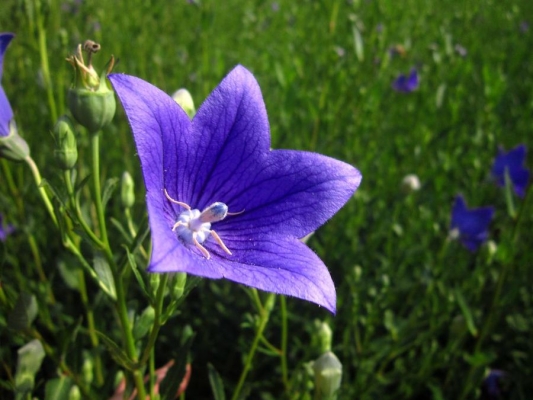 赤峰小花理發(fā)店電話(huà)號(hào)碼多少-第1張圖片