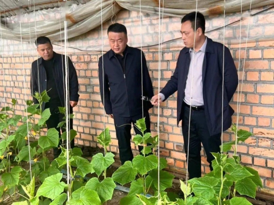 赤峰市錦山采摘園電話號(hào)碼-第1張圖片