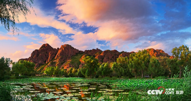 赤峰紅山魚(yú)庫(kù)電話地址是多少號(hào)-第1張圖片