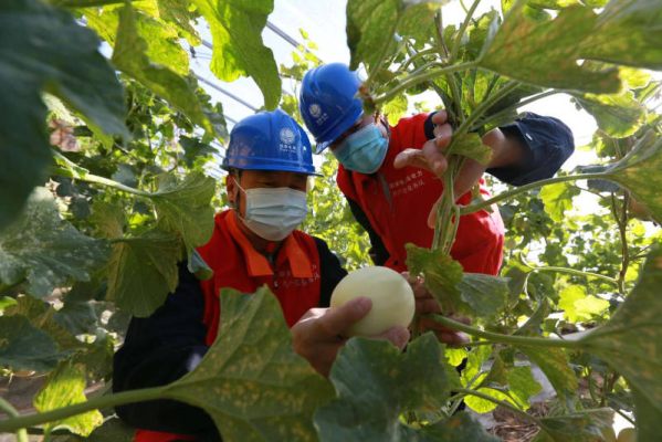 赤峰鄉(xiāng)鎮(zhèn)供電所電話是多少號(hào)-第1張圖片