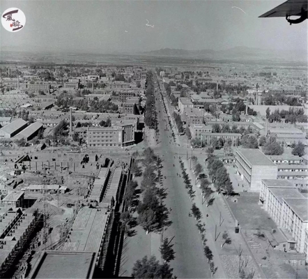 赤峰林東燉雞店電話號(hào)碼多少-第1張圖片