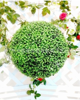 赤峰草球廠家電話號碼查詢-第1張圖片