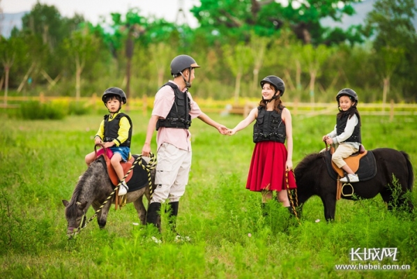 赤峰小豆豆樂(lè)園電話號(hào)碼查詢-第1張圖片