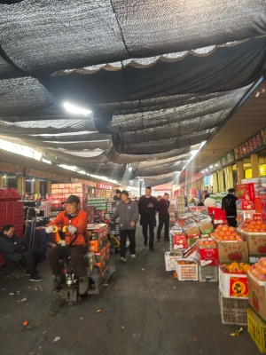 赤峰水果店批發(fā)水果電話號(hào)碼-第1張圖片