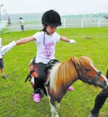 赤峰東郊馬戲團(tuán)電話多少號(hào)-第1張圖片