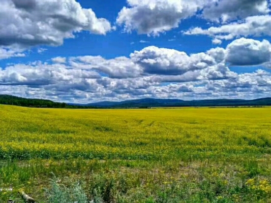赤峰到東烏旗拼車電話號碼-第1張圖片