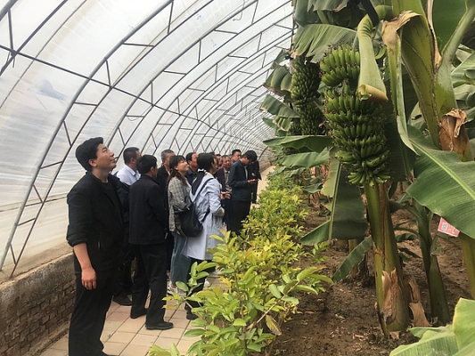 赤峰種植合作社電話多少號-第1張圖片