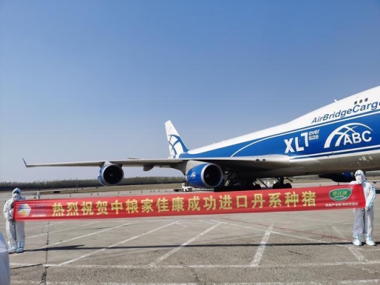 內(nèi)蒙赤峰中糧種豬基地電話號碼-第1張圖片