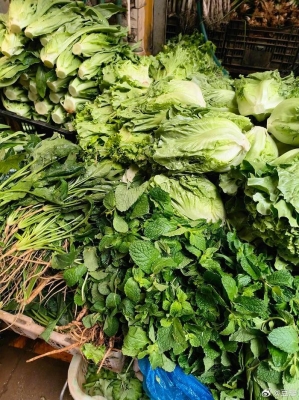 赤峰頭條新菜市場(chǎng)電話號(hào)碼-第1張圖片