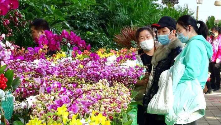 赤峰批發(fā)花卉基地電話號碼-第1張圖片