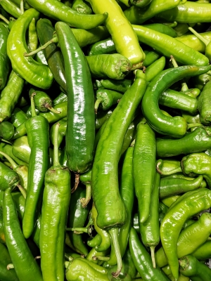 赤峰青辣椒清洗機(jī)售后電話號(hào)碼-第1張圖片