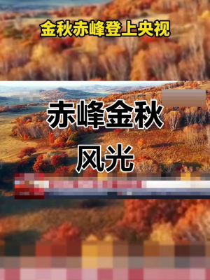 赤峰斯凱漢堡店電話多少號-第1張圖片