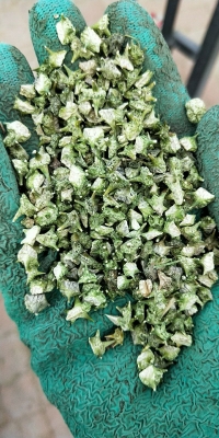 赤峰花羽鮮花店電話地址查詢-第1張圖片