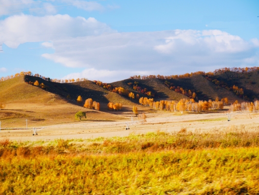 赤峰平莊馬立武診所電話號(hào)碼-第1張圖片