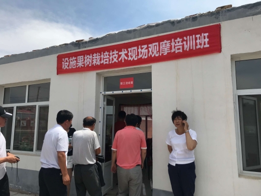 內(nèi)蒙古赤峰葵花種植電話(huà)是多少-第1張圖片