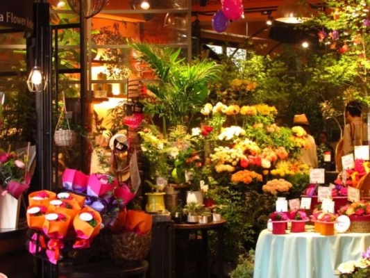 赤峰小香鋪花店電話號碼查詢-第1張圖片