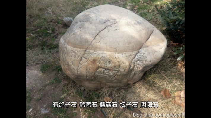 赤峰賣活鵪鶉的電話號碼是多少-第1張圖片