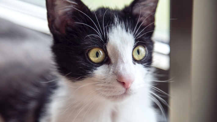 赤峰元?dú)饷垖Ｙu店電話號(hào)碼-第1張圖片