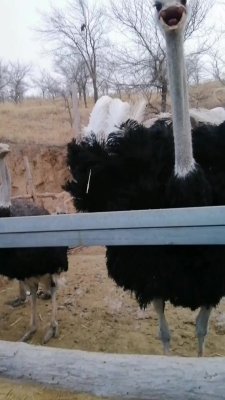 赤峰賣(mài)擋水條的電話(huà)號(hào)碼-第1張圖片