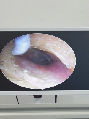 赤峰首耳采耳店電話地址查詢-第1張圖片