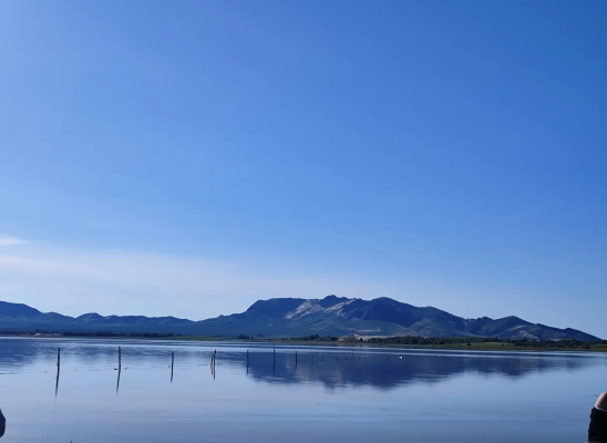 赤峰小陌直播間電話是多少號-第1張圖片